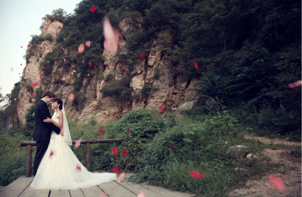 世界上最贵的照片,世界上最贵的一张相片视频