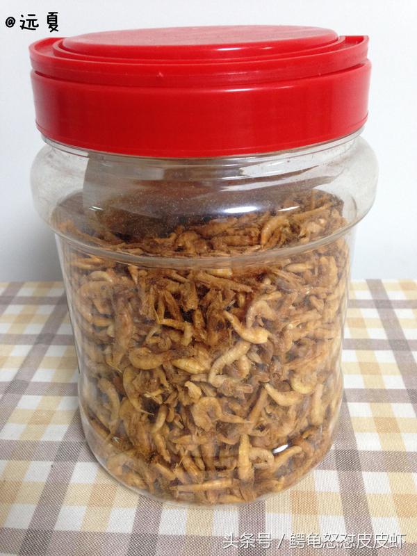 各种宠物龟饲养方法大全,宠物龟超容易养活饲养指南多图