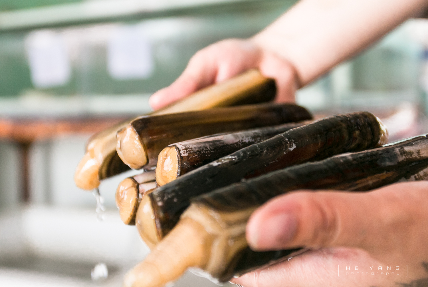 美丽的海滨城市营口鲅鱼圈,营口市鲅鱼圈十年变化