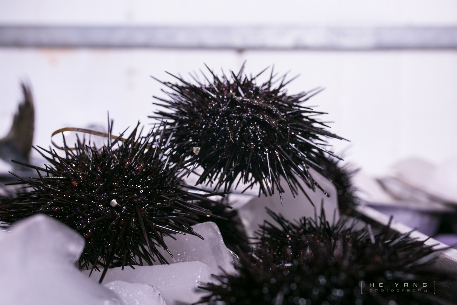美丽的海滨城市营口鲅鱼圈,营口市鲅鱼圈十年变化