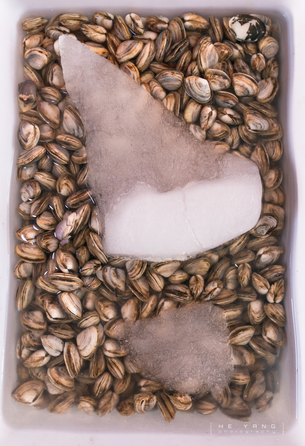 美丽的海滨城市营口鲅鱼圈,营口市鲅鱼圈十年变化