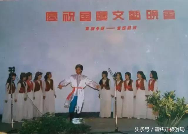 肇庆最好的学院有哪几个,肇庆市最美学校