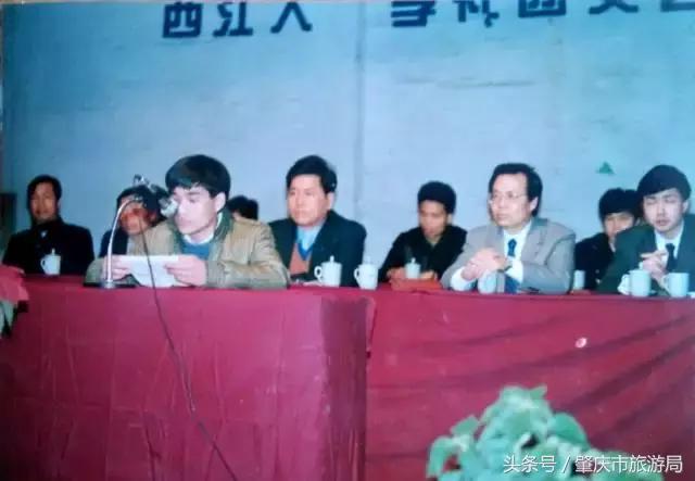 肇庆最好的学院有哪几个,肇庆市最美学校