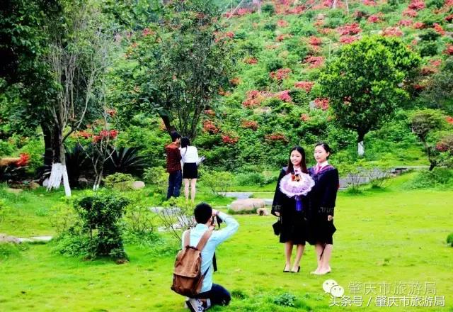 肇庆最好的学院有哪几个,肇庆市最美学校