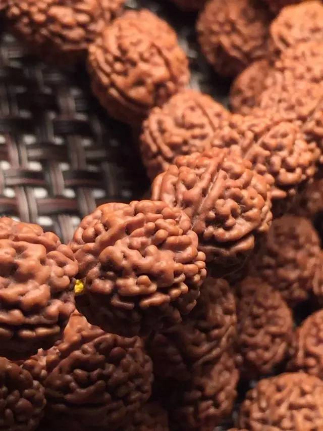 金刚圈子里混三年,这些品种都够呛能认全!