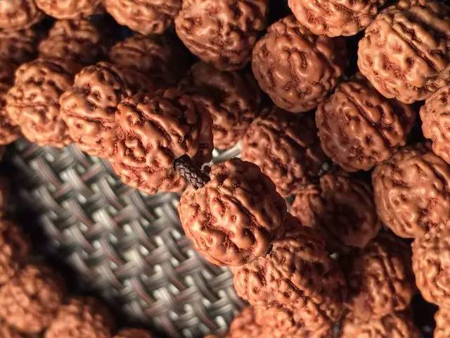 金刚圈子里混三年,这些品种都够呛能认全!