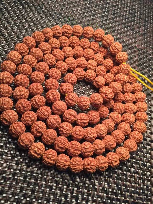 金刚圈子里混三年,这些品种都够呛能认全!