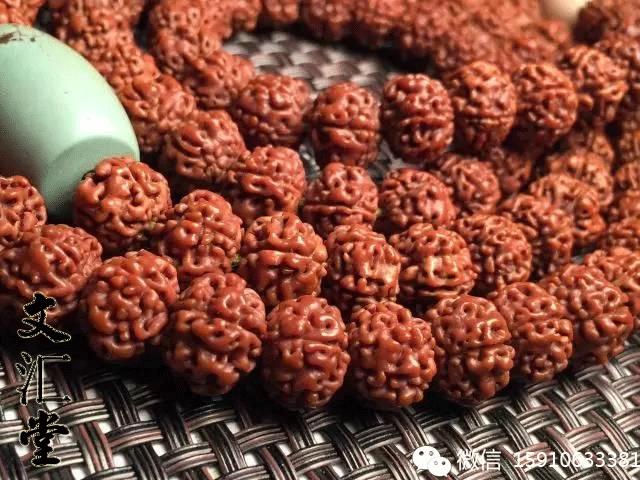 金刚圈子里混三年,这些品种都够呛能认全!