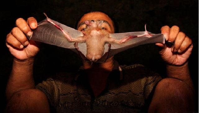 印尼居民就好这口,另类食物据说养生延年,还因此开辟新职业