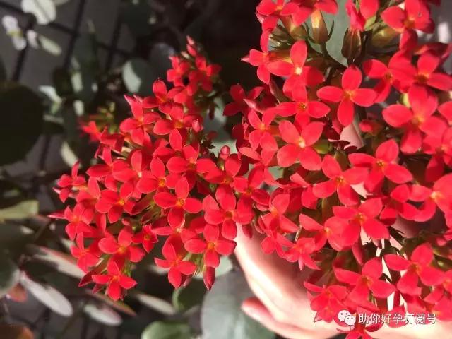 保胎的正确方法和技巧 (中药保胎和西药保胎能同时用药吗)