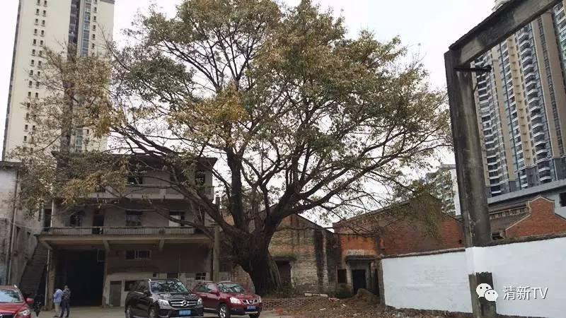 清远旧糖厂创意园,清远红砖厂创意产业园