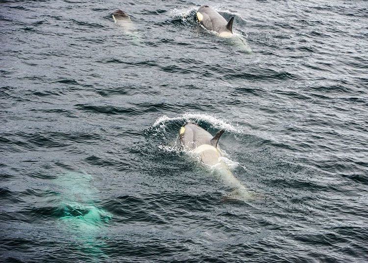 嗨哩文旅丨在世界的尽头的九个日日夜夜