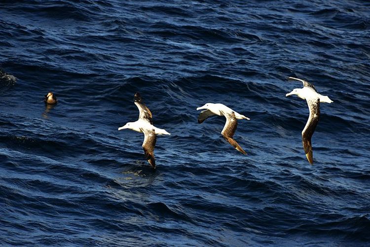 嗨哩文旅丨在世界的尽头的九个日日夜夜