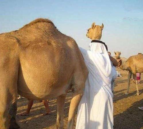 睡在上铺想玩台式电脑怎么弄,在上铺玩电脑
