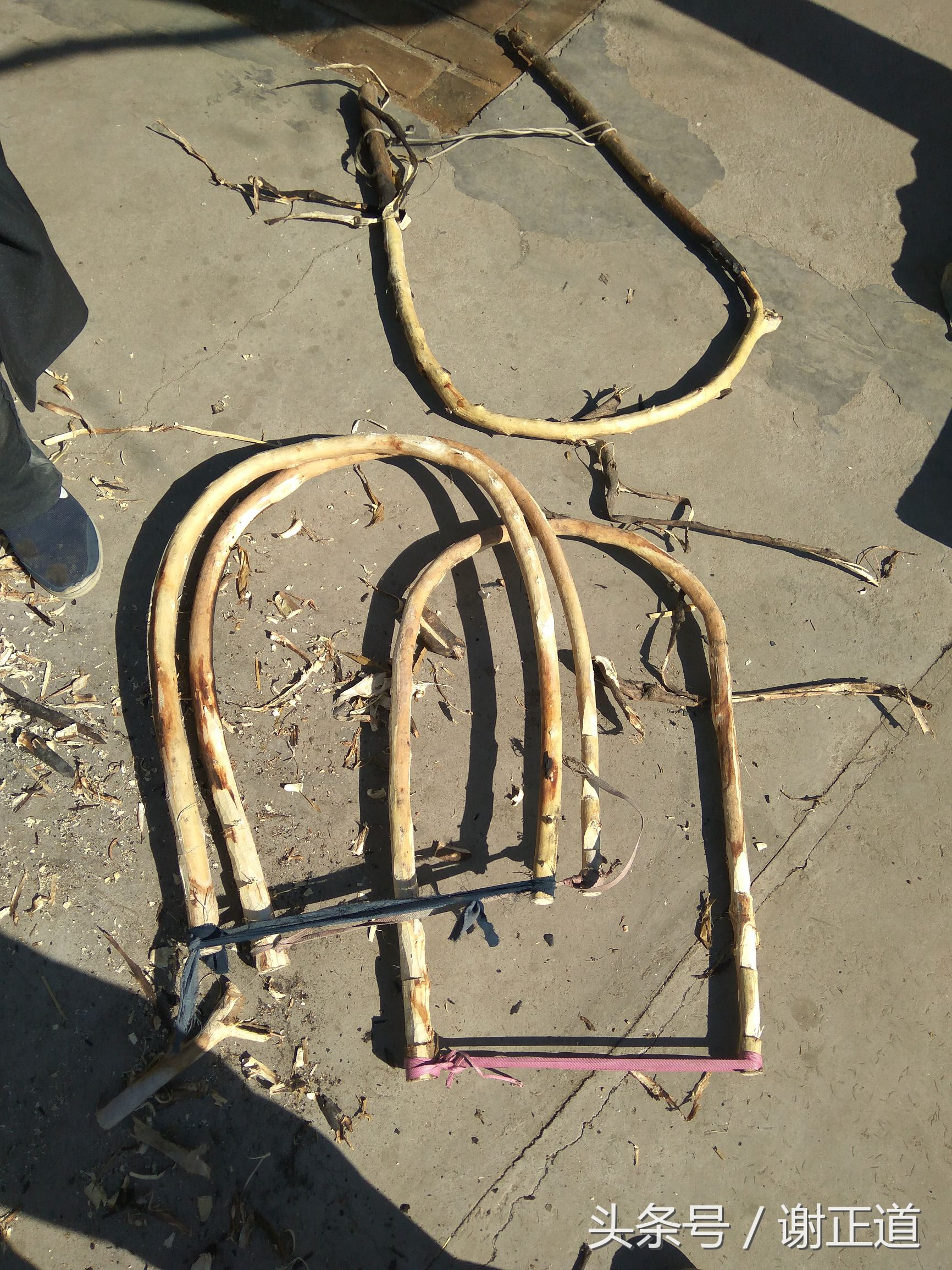 灵寿秋山风景区攻略,灵寿秋山自然风景区电话