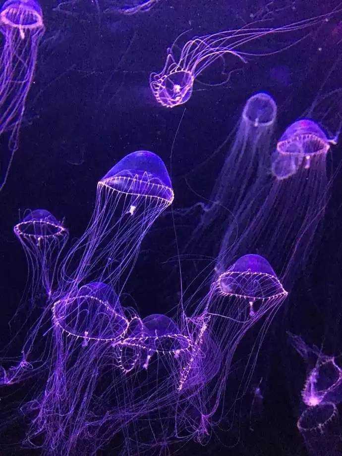 再遇青岛,距上次与你相见已过去了十年