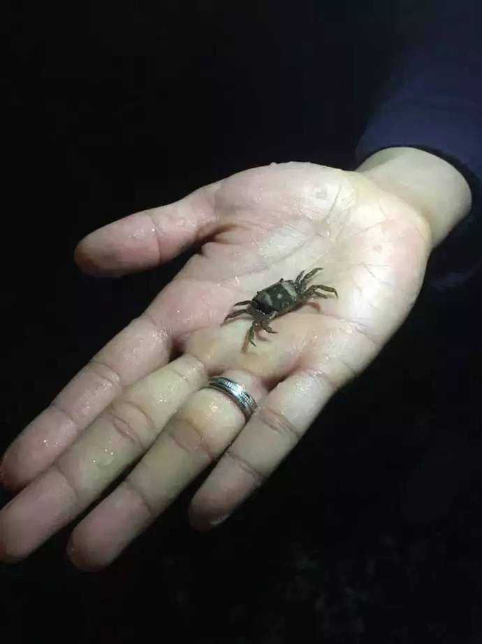 再遇青岛,距上次与你相见已过去了十年