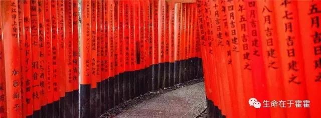 拉面 · 自动贩售机 · 雪｜云之彼岸的日本欢脱之旅