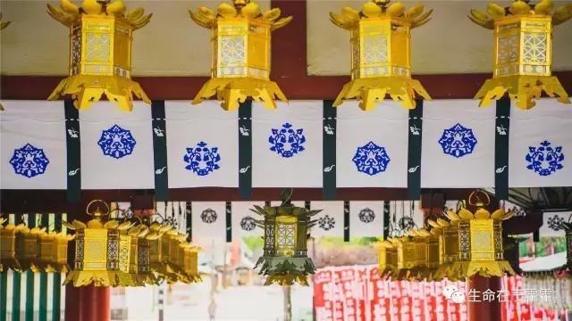 拉面 · 自动贩售机 · 雪｜云之彼岸的日本欢脱之旅