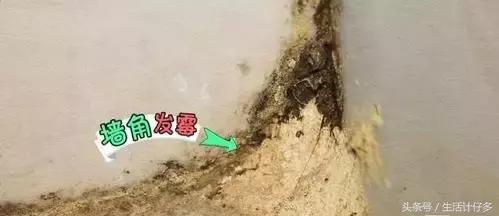 回南天的霉菌用什么擦洗,回南天霉菌怎么消