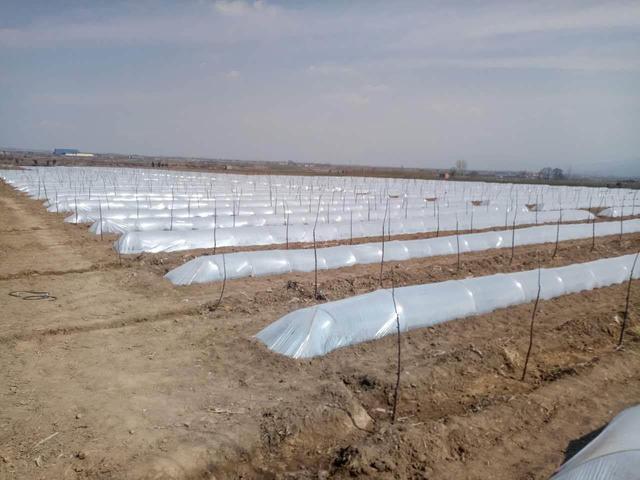 新的一年春耕开始了,新的一年开始春耕