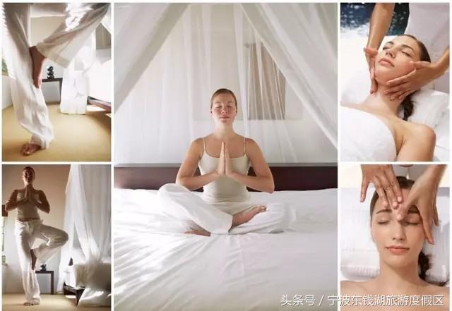 花讯播报泡汤赏花SPA住客房,只在南苑花博园!