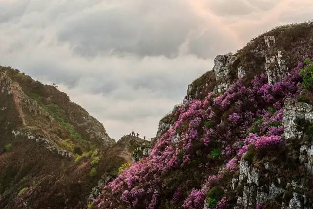 word天！大金普这60个好地方够你玩上一整年！