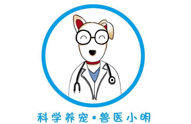 萨摩耶纯不纯怎么辨别,该怎么看萨摩耶纯不纯