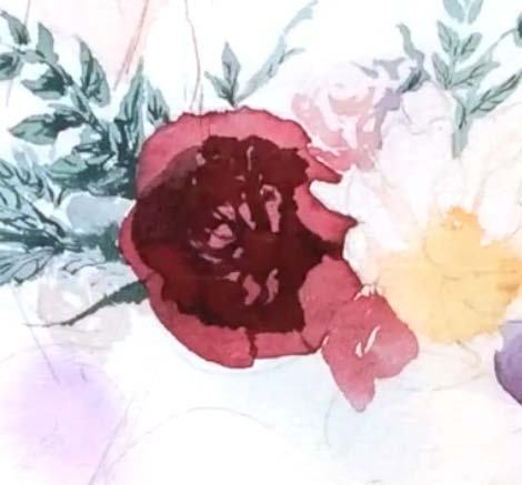 水彩画爱情教程,水彩绘画教程画玫瑰花图片