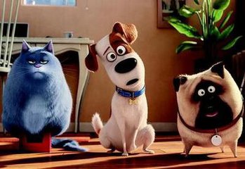 推个好片：超过小黄人，胜过《疯狂动物城》的萌宠大电影