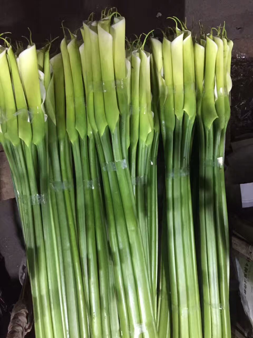 看了这些图,下次去花店你就能把花店里的花花草草叫出名字来了!