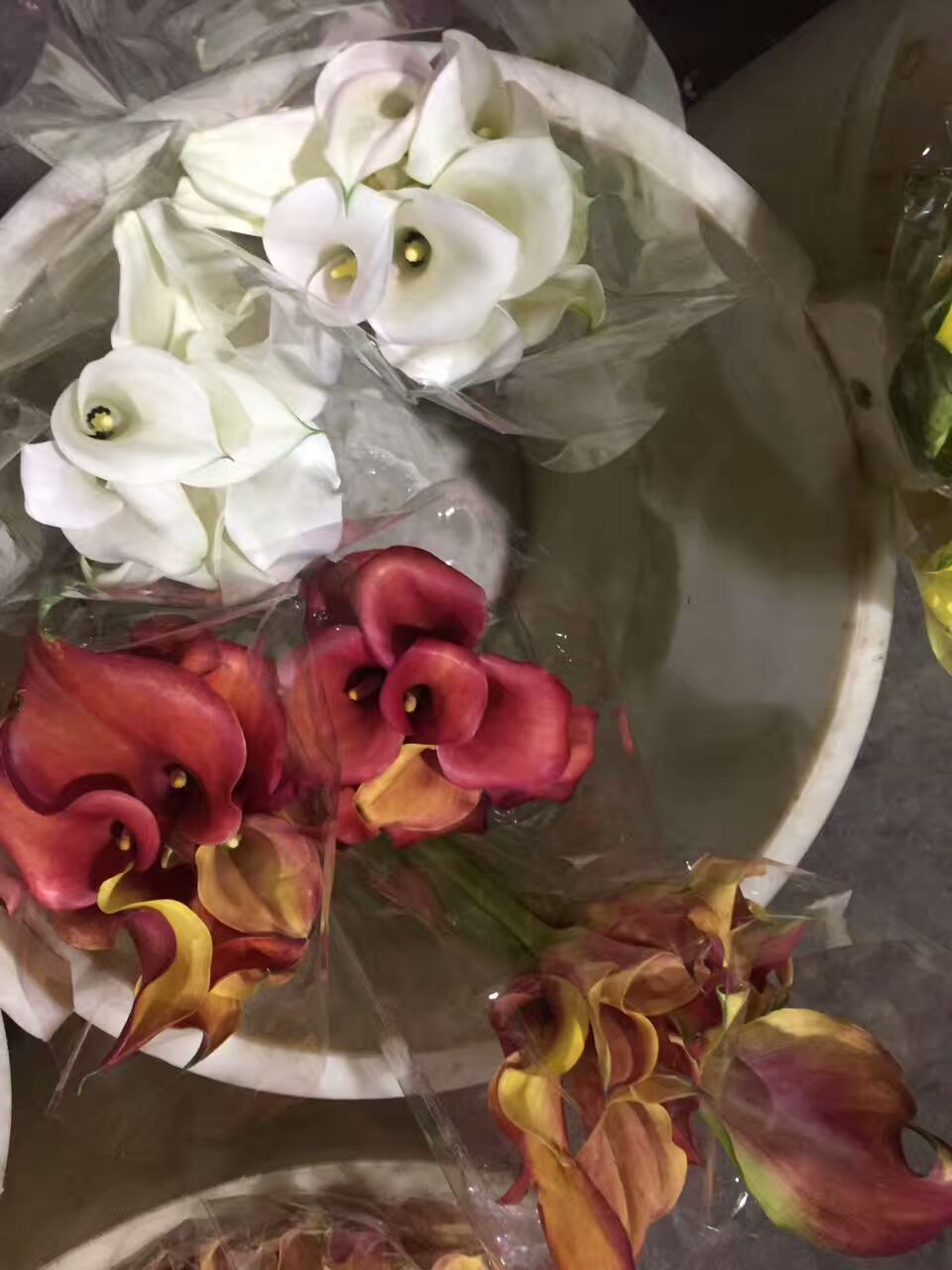 看了这些图,下次去花店你就能把花店里的花花草草叫出名字来了!