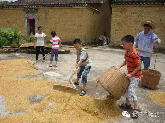 农村这些农活，做过5个的顶起，特别是第七个！