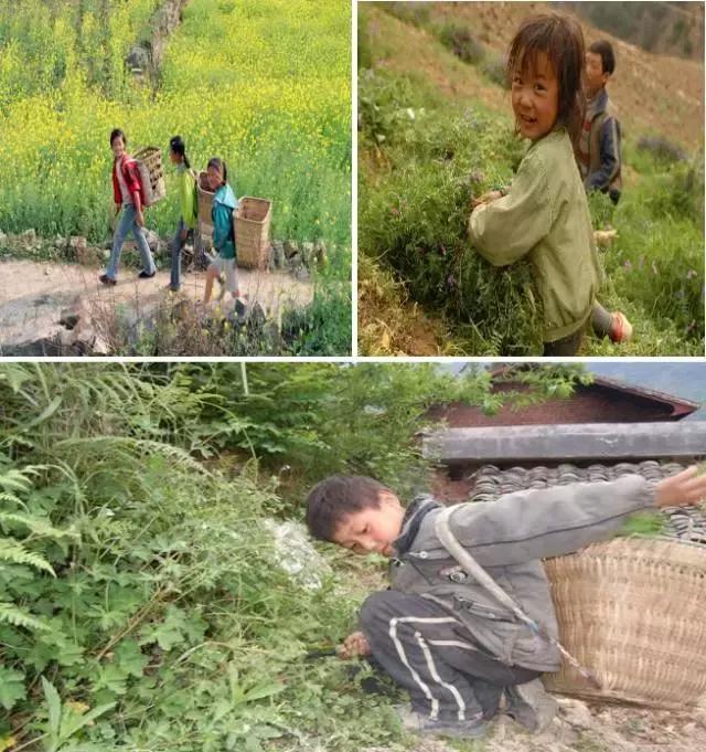 农村这些农活，做过5个的顶起，特别是第七个！