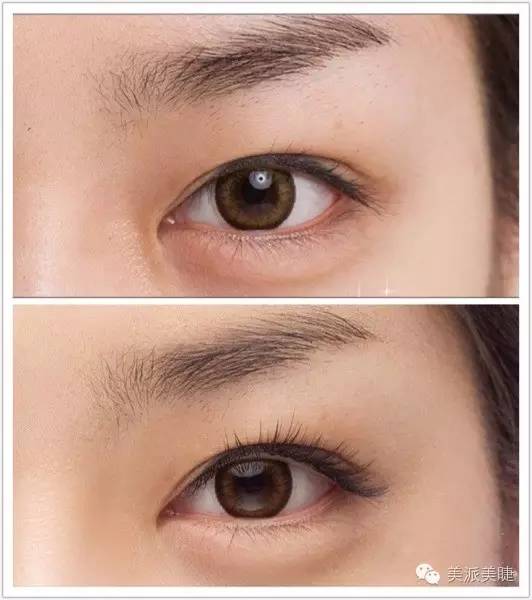 种睫毛用什么更持久,戴眼镜种睫毛效果怎么样