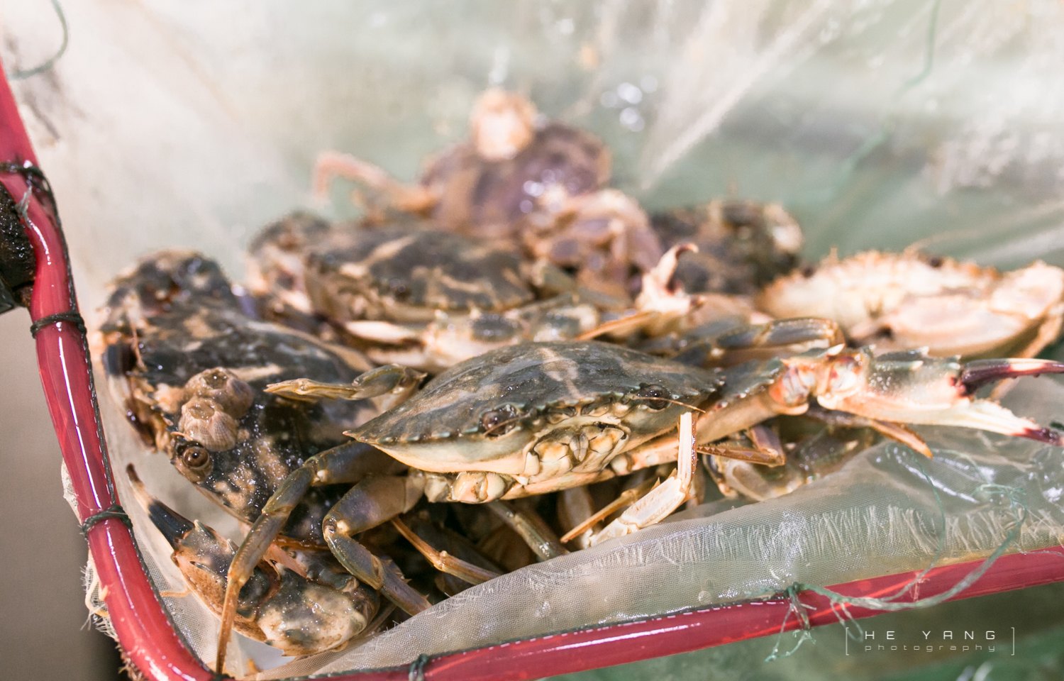 美丽的海滨城市营口鲅鱼圈,营口市鲅鱼圈十年变化