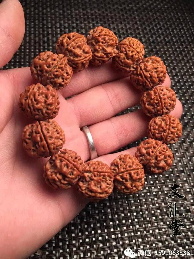 金刚圈子里混三年,这些品种都够呛能认全!