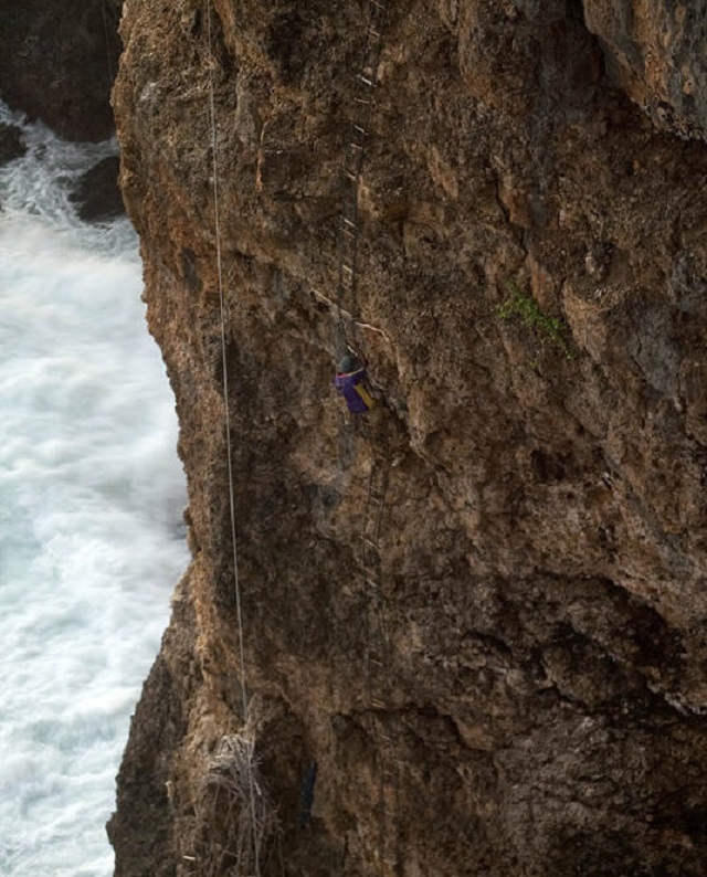 印尼居民就好这口,另类食物据说养生延年,还因此开辟新职业