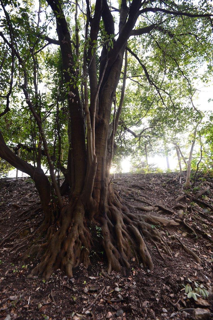 圣地巡游《吹响！悠风宁号》零叁篇
