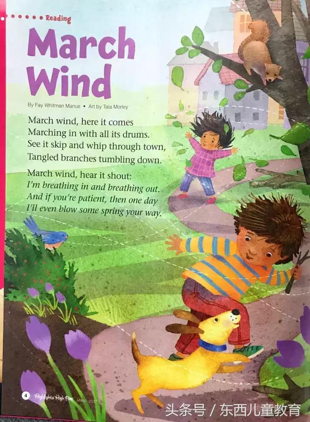 放风筝让我们懂得了什么,放风筝是要顺着风还是逆着风