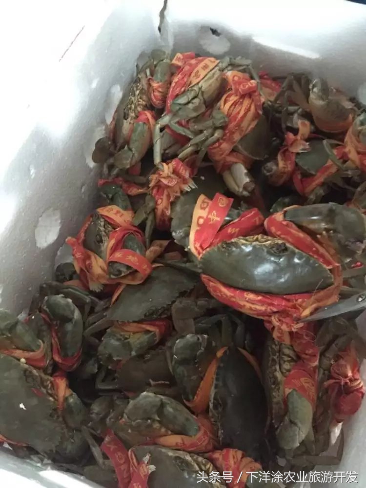 宁波海鲜餐排行榜第一名,宁波江北区海鲜排行榜前十名