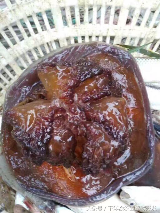 宁波海鲜餐排行榜第一名,宁波江北区海鲜排行榜前十名