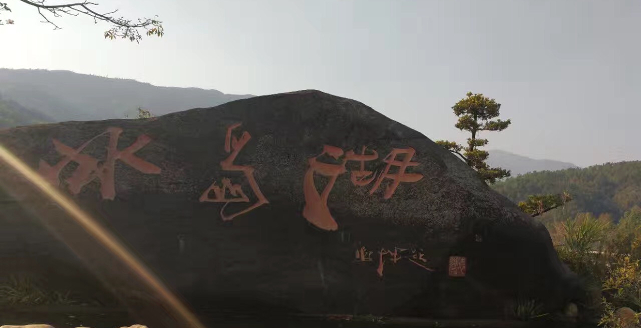 普洱茶冰岛有什么特点和口感,喝真正的冰岛普洱