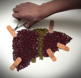 大三阳的人饮食要注意什么,脾胃虚寒不能暴饮暴食