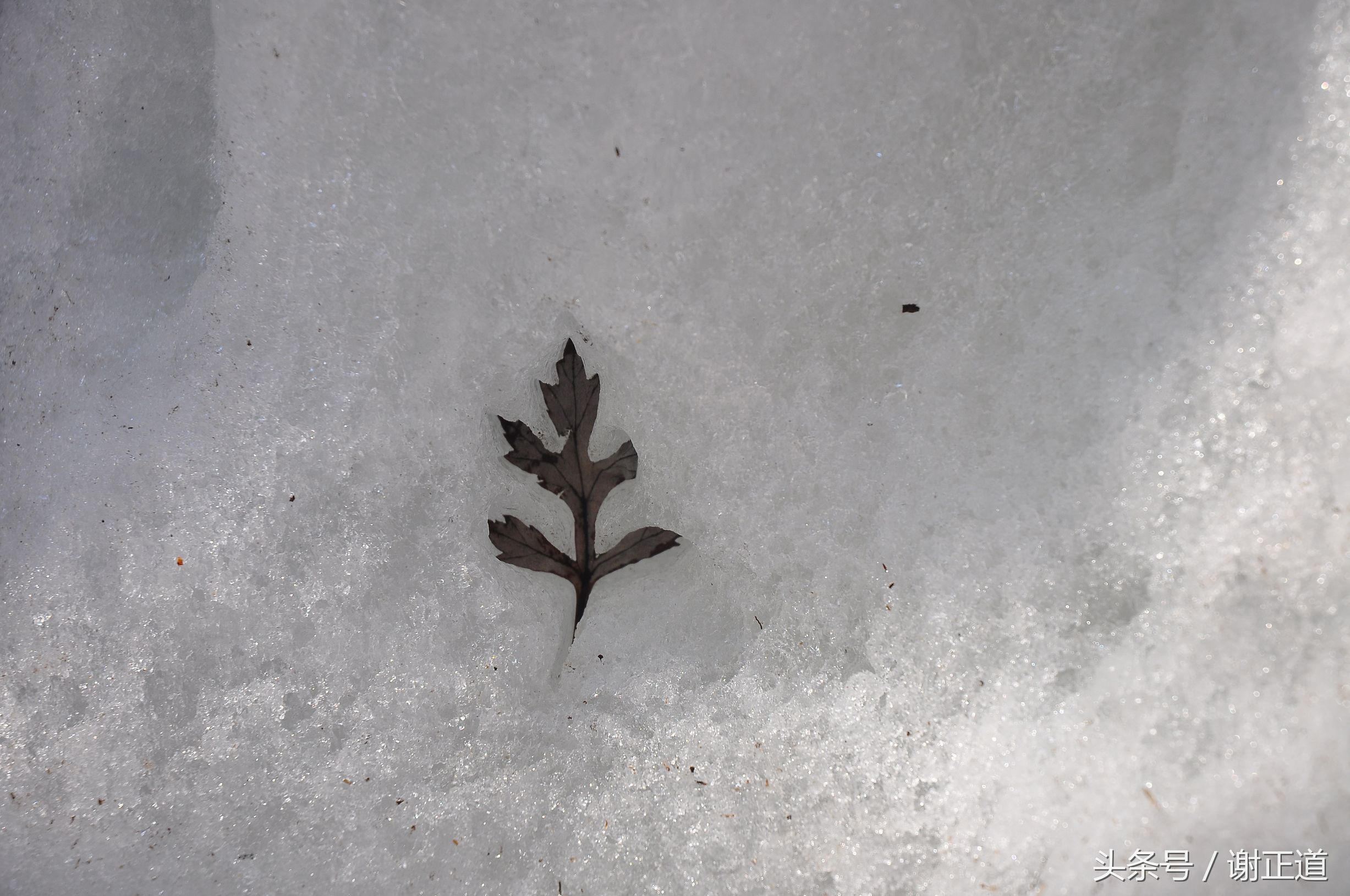 灵寿秋山风景区攻略,灵寿秋山自然风景区电话
