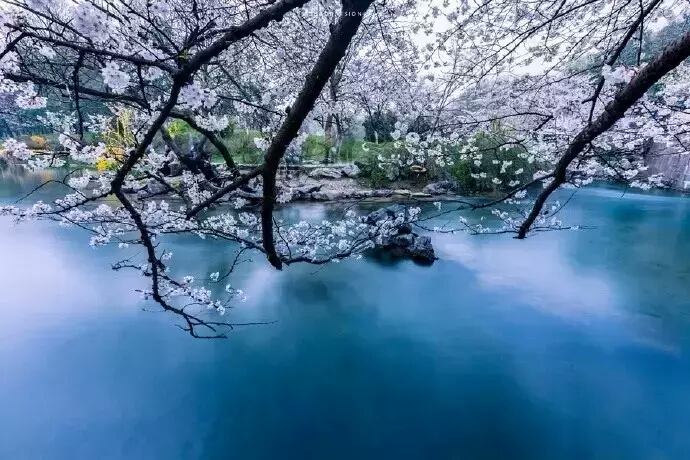 热门传记体小说连载15：曹蓉《高道李真果》百年传奇道士下山