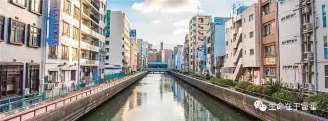 拉面 · 自动贩售机 · 雪｜云之彼岸的日本欢脱之旅