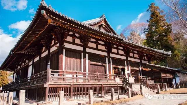 拉面 · 自动贩售机 · 雪｜云之彼岸的日本欢脱之旅