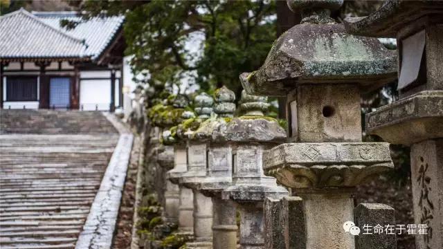 拉面 · 自动贩售机 · 雪｜云之彼岸的日本欢脱之旅