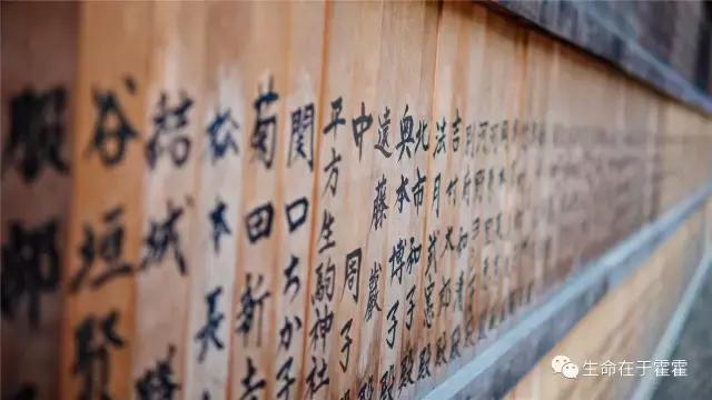 拉面 · 自动贩售机 · 雪｜云之彼岸的日本欢脱之旅